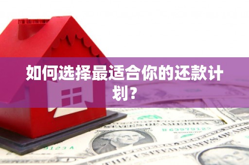 二水如何选择最适合你的还款计划？