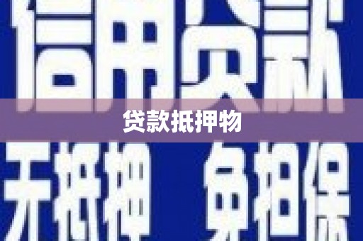 二水贷款抵押物
