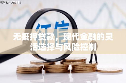 二水无抵押贷款，现代金融的灵活选择与风险控制