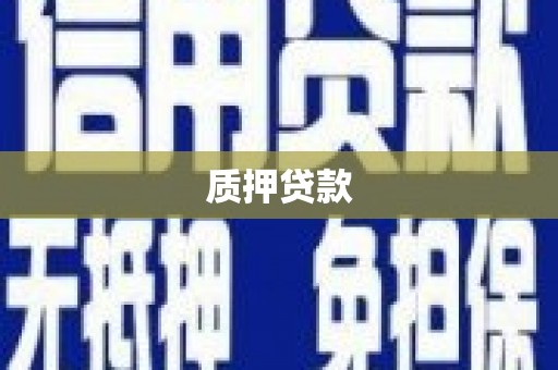 二水质押贷款
