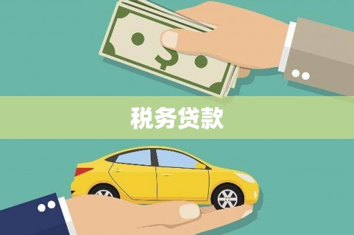 二水税务贷款