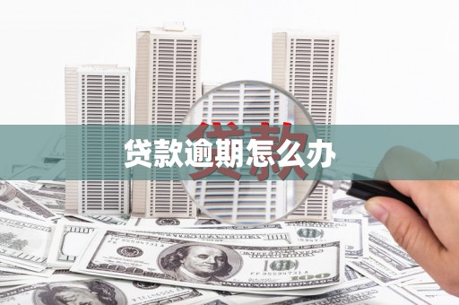 二水贷款逾期怎么办