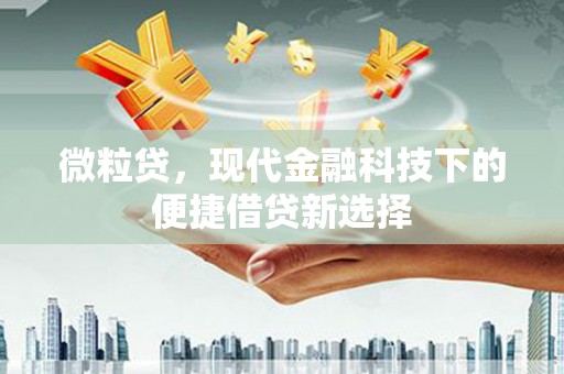 二水微粒贷，现代金融科技下的便捷借贷新选择