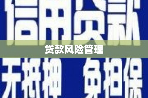 二水贷款风险管理
