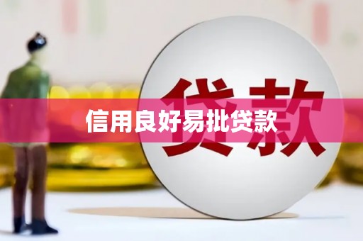 二水信用良好易批贷款