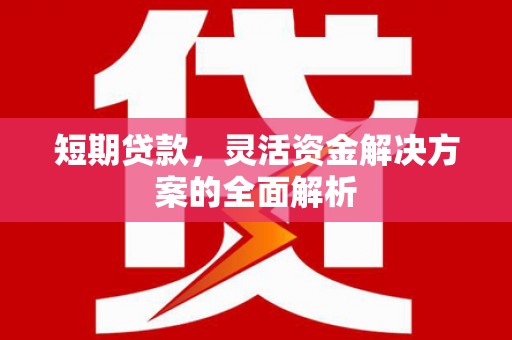 二水短期贷款，灵活资金解决方案的全面解析