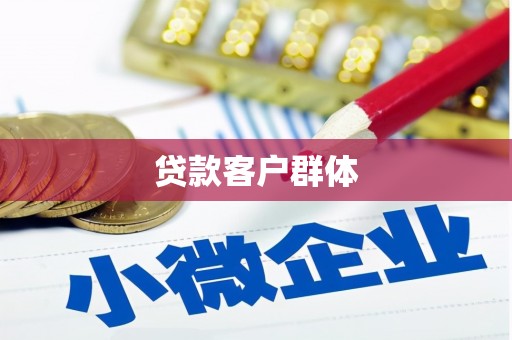 二水贷款客户群体