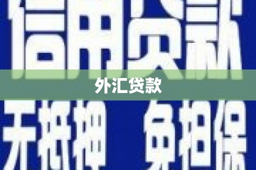 二水外汇贷款