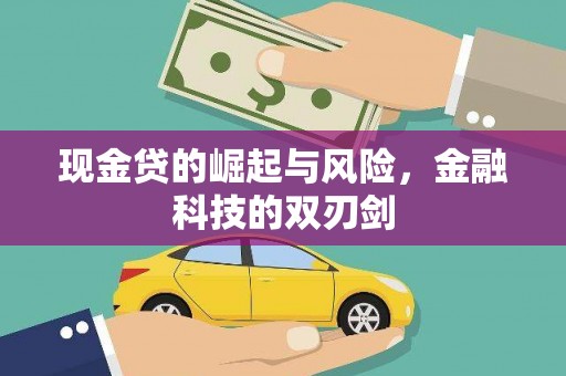 二水现金贷的崛起与风险，金融科技的双刃剑