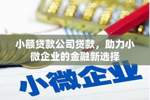 二水小额贷款公司贷款，助力小微企业的金融新选择