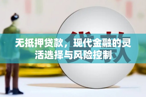 二水无抵押贷款，现代金融的灵活选择与风险控制