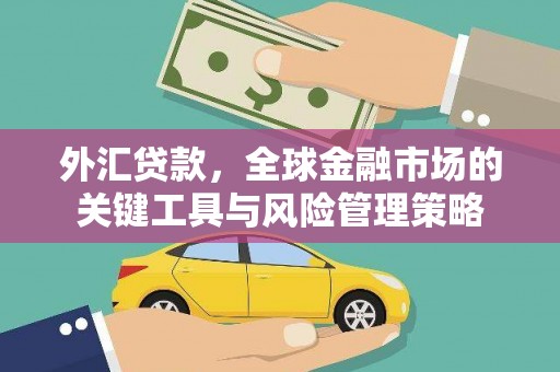 二水外汇贷款，全球金融市场的关键工具与风险管理策略
