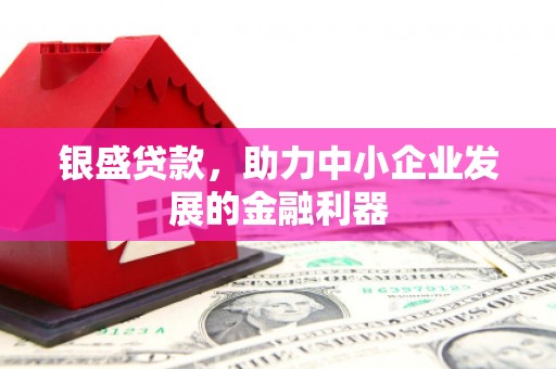 二水银盛贷款，助力中小企业发展的金融利器