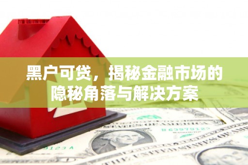 二水黑户可贷，揭秘金融市场的隐秘角落与解决方案