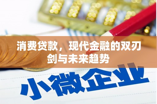 二水消费贷款，现代金融的双刃剑与未来趋势