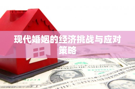 二水现代婚姻的经济挑战与应对策略