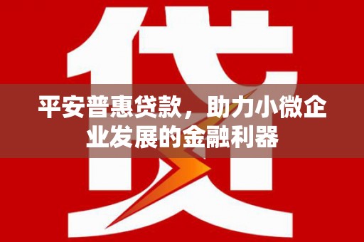 二水平安普惠贷款，助力小微企业发展的金融利器