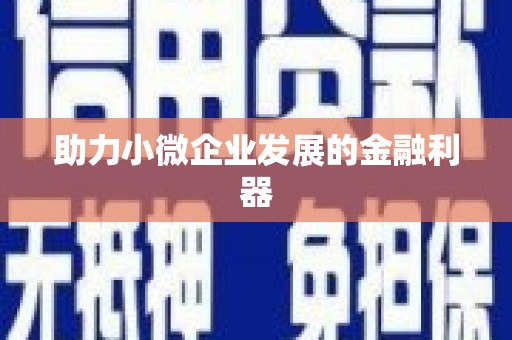 二水助力小微企业发展的金融利器