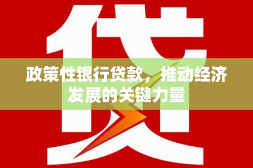 二水政策性银行贷款，推动经济发展的关键力量