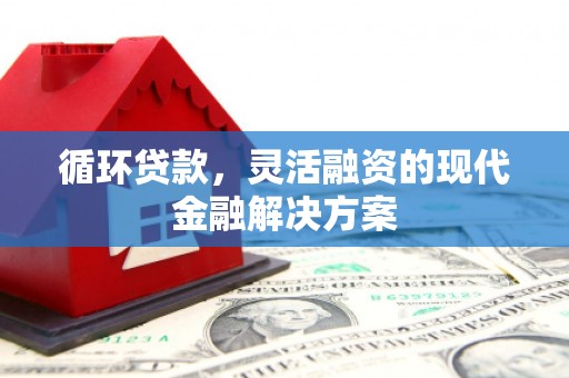 二水循环贷款，灵活融资的现代金融解决方案