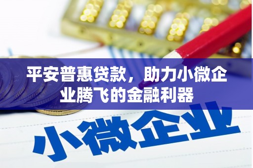 二水平安普惠贷款，助力小微企业腾飞的金融利器