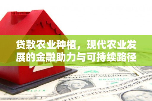 二水贷款农业种植，现代农业发展的金融助力与可持续路径