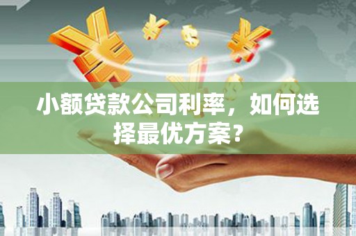 二水小额贷款公司利率，如何选择最优方案？
