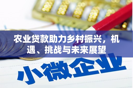 二水农业贷款助力乡村振兴，机遇、挑战与未来展望