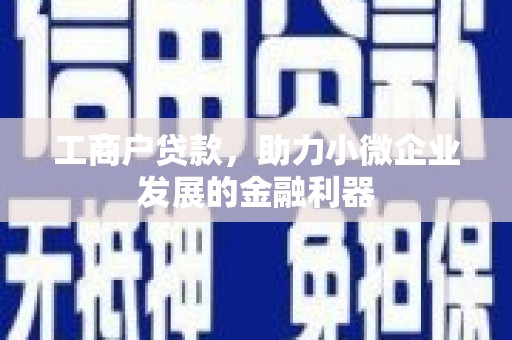 二水工商户贷款，助力小微企业发展的金融利器