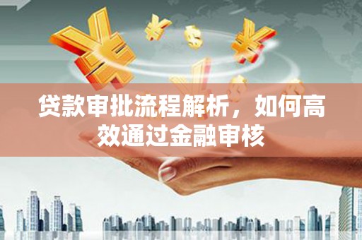 二水贷款审批流程解析，如何高效通过金融审核