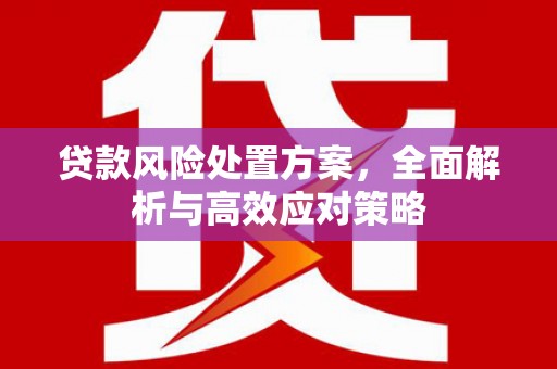 二水贷款风险处置方案，全面解析与高效应对策略