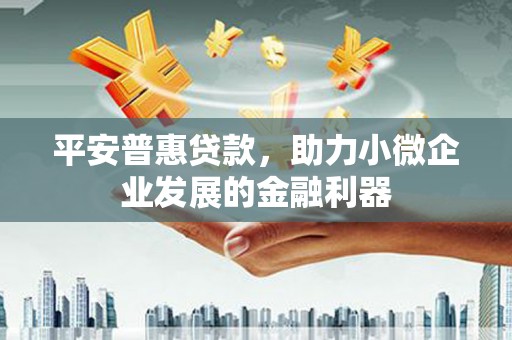 二水平安普惠贷款，助力小微企业发展的金融利器