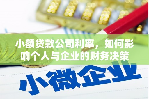 二水小额贷款公司利率，如何影响个人与企业的财务决策