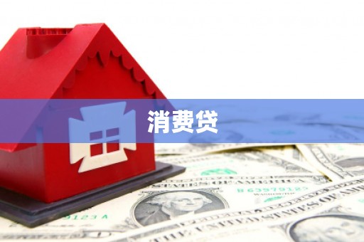 二水消费贷