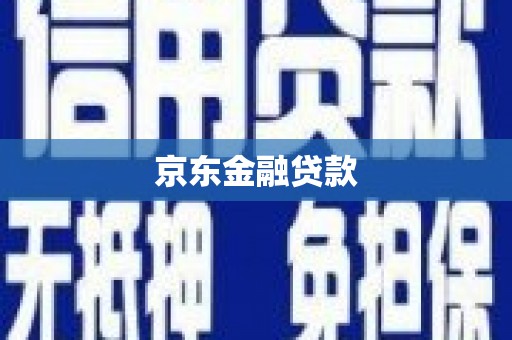 二水京东金融贷款