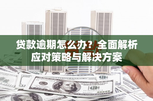 二水贷款逾期怎么办？全面解析应对策略与解决方案