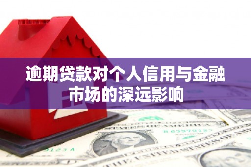 二水逾期贷款对个人信用与金融市场的深远影响