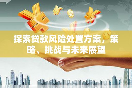 二水探索贷款风险处置方案，策略、挑战与未来展望