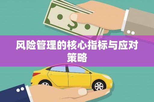二水风险管理的核心指标与应对策略