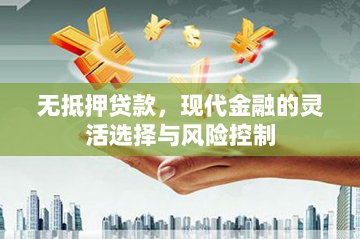 二水无抵押贷款，现代金融的灵活选择与风险控制