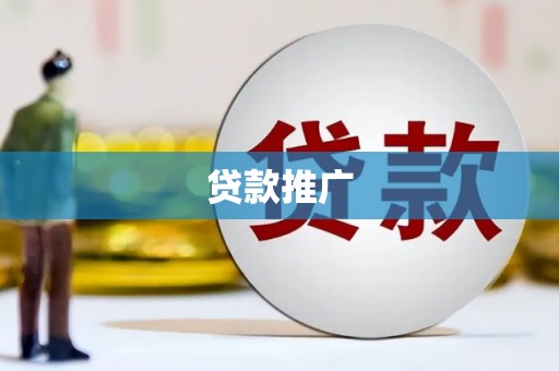 二水贷款推广