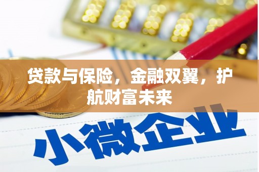 二水贷款与保险，金融双翼，护航财富未来