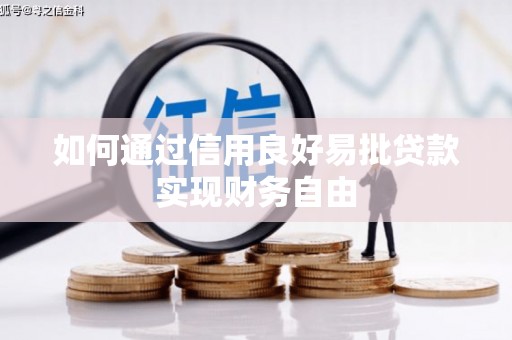 二水如何通过信用良好易批贷款实现财务自由