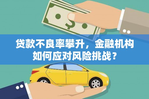 二水贷款不良率攀升，金融机构如何应对风险挑战？