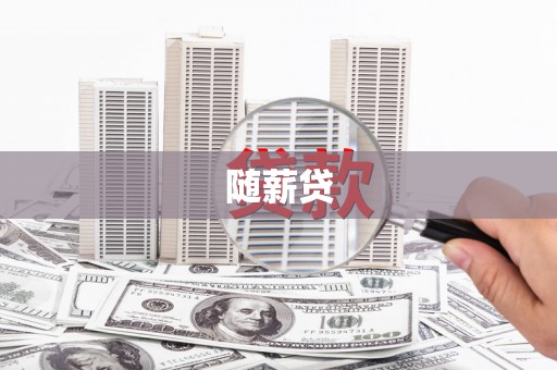 二水随薪贷