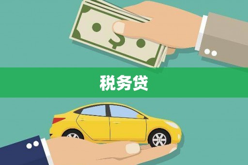 二水税务贷