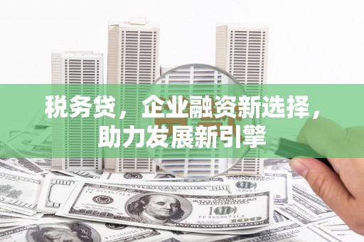 二水税务贷，企业融资新选择，助力发展新引擎