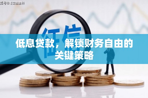 二水低息贷款，解锁财务自由的关键策略