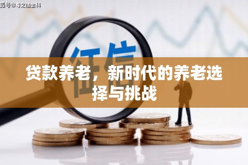 二水贷款养老，新时代的养老选择与挑战
