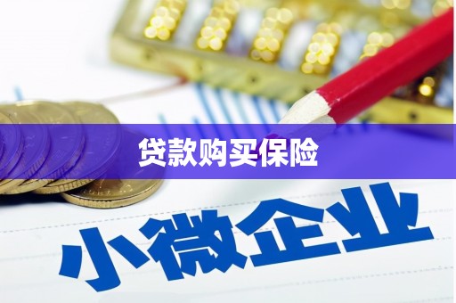 二水贷款购买保险